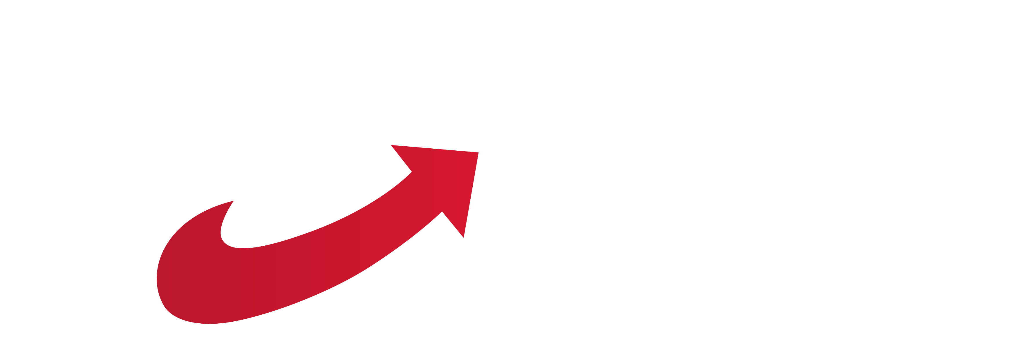afd-fraktion-wesseling.de